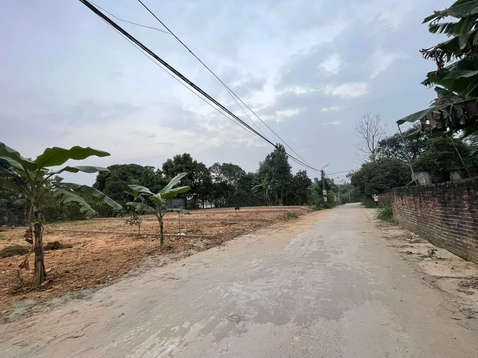 Đất thổ cư 114m² thôn Hoà Phong, Lập Thạch, Vĩnh Phúc chỉ 700 triệu - Cơ hội đầu tư tuyệt vời!