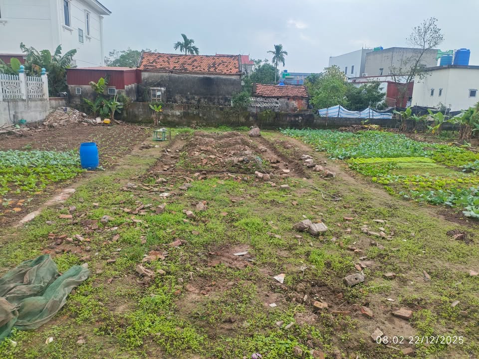 Đất nền Giao Yến 190m² giá 800 triệu - Đường ô tô vào tận nơi!