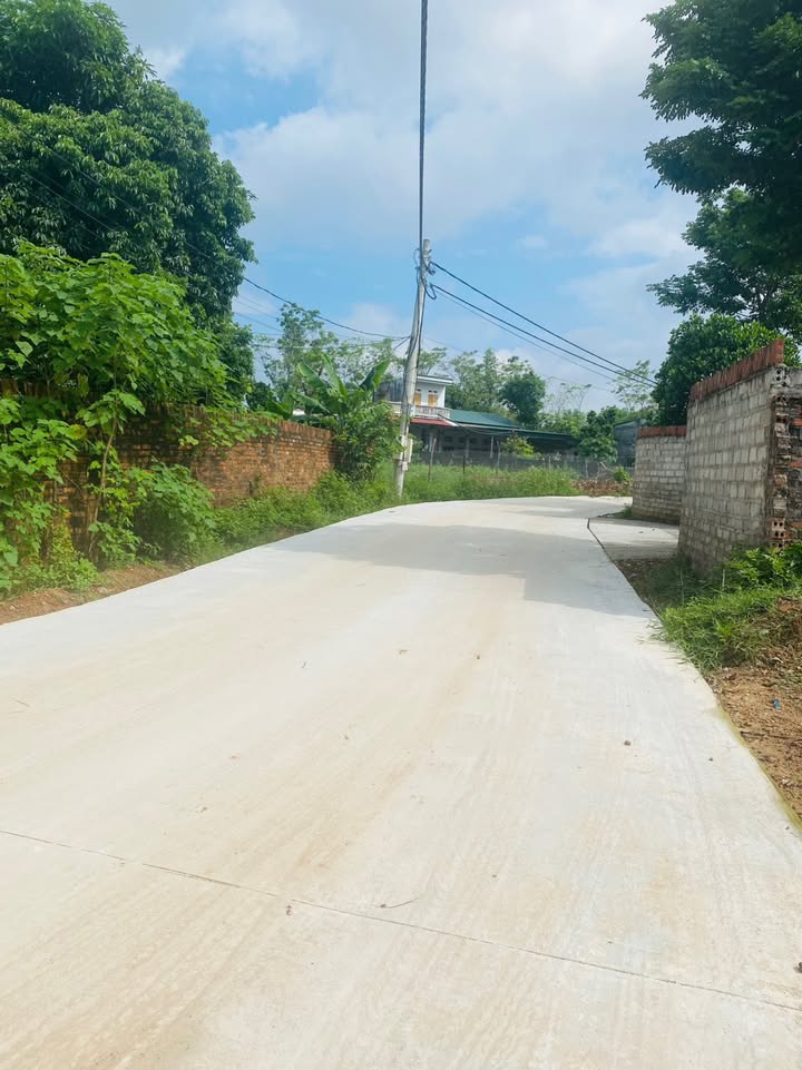 Đất nền Trại Giềng, Thanh Vân, Tam Dương 1149m² - Vị trí đẹp, giao thông thuận lợi!