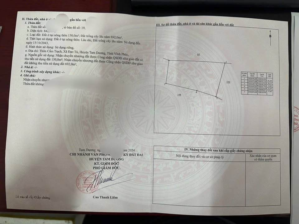 Đất mặt đường 310, Đạo Tú, Tam Dương 1200m² giá 9 tỷ - Đầu tư sinh lời vượt trội!