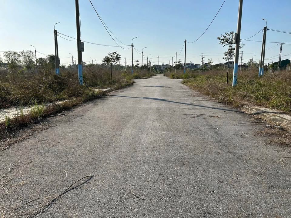 Đất nền Đông Yên, 96m² giá 1.2 tỷ - Cơ hội đầu tư hấp dẫn!