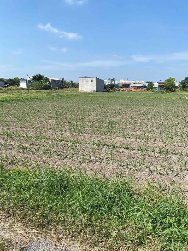 Đất thổ cư 200m² tại ấp Rừng Sến, Đức Hoà - Giá chỉ 1,2 tỷ, thuận tiện đầu tư!