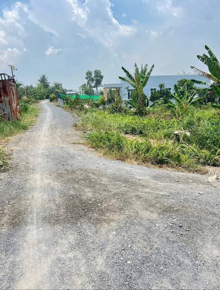 Đất vườn Thạnh Hoà Bến Lức 524m² giá 590 triệu - Mặt tiền kênh Công Si thổ cư!