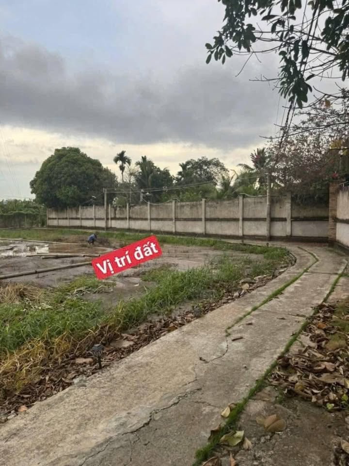 Đất nền Mỹ Thạnh, Tân Trụ 93m² giá 289 triệu - Nền sẵn, xây dựng ngay!