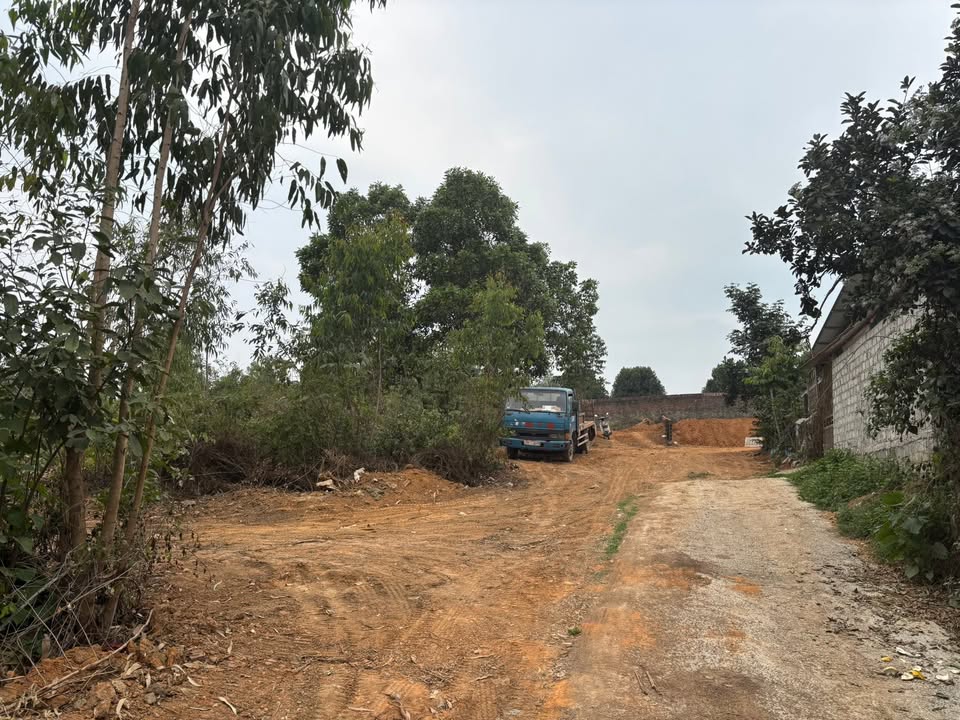 Đất rừng khu đồi Xúc Thanh Vân 1836m² giá chỉ 1.836 tỷ - Đầu tư sinh lời ngay!