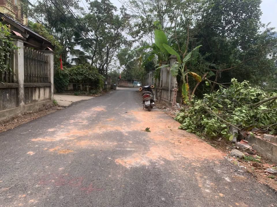 Đất nền thôn Đồng Vang, Kim Long 107m² giá 1 tỷ - Đầu tư tiềm năng ngay gần KCN Tam Dương!