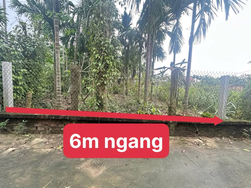 Lô đất Tịnh Sơn 156m² giá tốt - Gần trường học và chợ