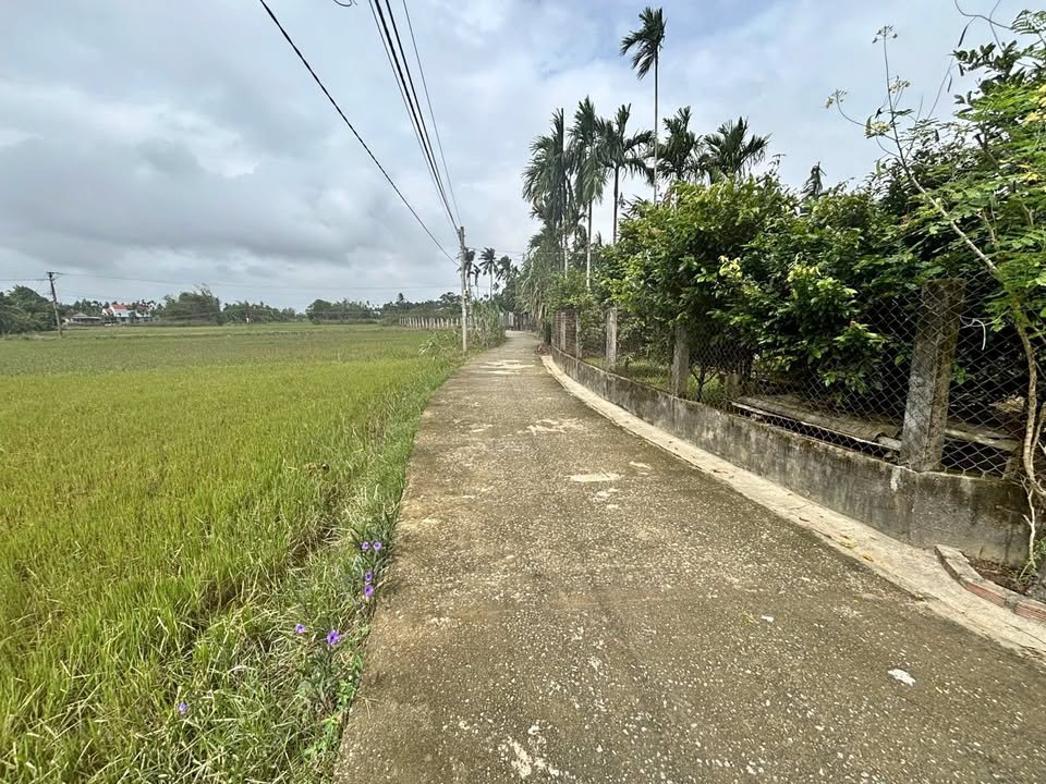 Nhà vườn Tư Nghĩa 1.600m² giá 2 tỷ - Đầu tư sinh lời cao!