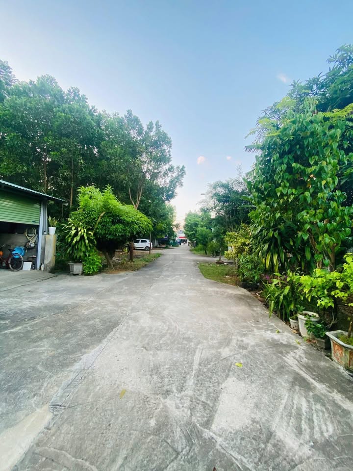 Đất nền phường Hoàng Khai 110m² giá 1 tỷ - Đầu tư sinh lời nhanh chóng!