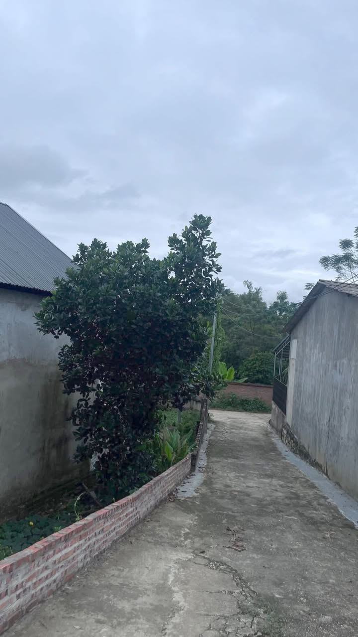 Đất nền An Tường Tuyên Quang 261,9m² giá 600 triệu - Đầu tư sinh lời ngay!