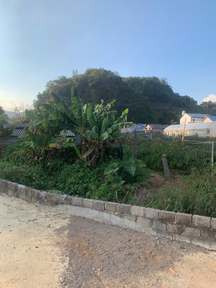 Đất du lịch TK 34, Đông Sang, Mộc Châu 92m² giá chỉ 1 tỷ - Cơ hội đầu tư hiếm có!