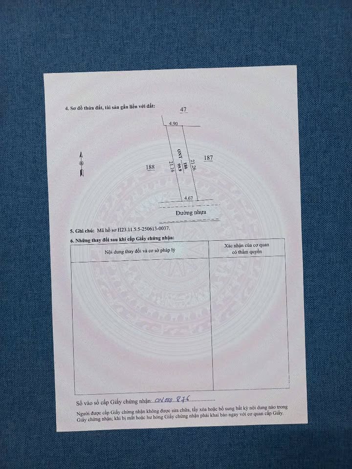 Lô đất 99.9m² mặt đường Liên Xã tại Đông Quang - Cơ hội đầu tư hiếm có chỉ 2 tỷ!