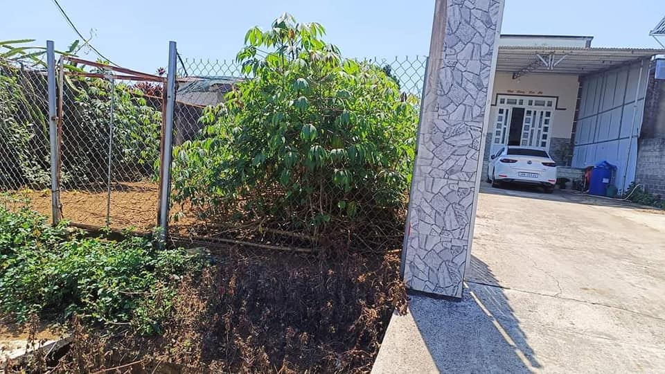 Đất nền Bảo Lộc 294m² giá 2.1 tỷ - Đầu tư sinh lời hấp dẫn!