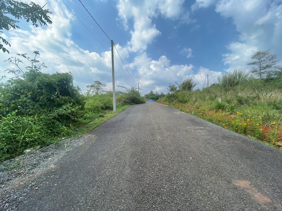 Đất nền Nguyễn Trãi, Bảo Lộc 145m² giá 1.2 tỷ - Khu vực an ninh, giao thông thuận lợi!