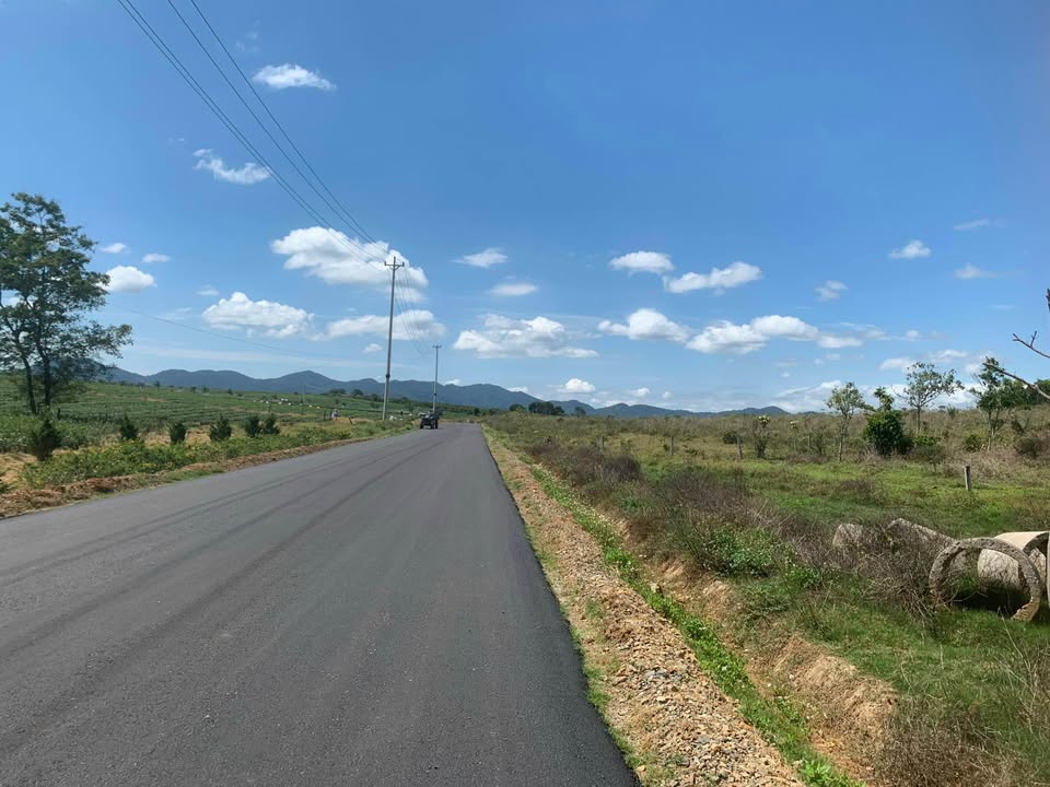 Đất Lộc Quảng Bảo Lâm 600m², 2 mặt tiền đường nhựa - View đồi trà tuyệt đẹp!