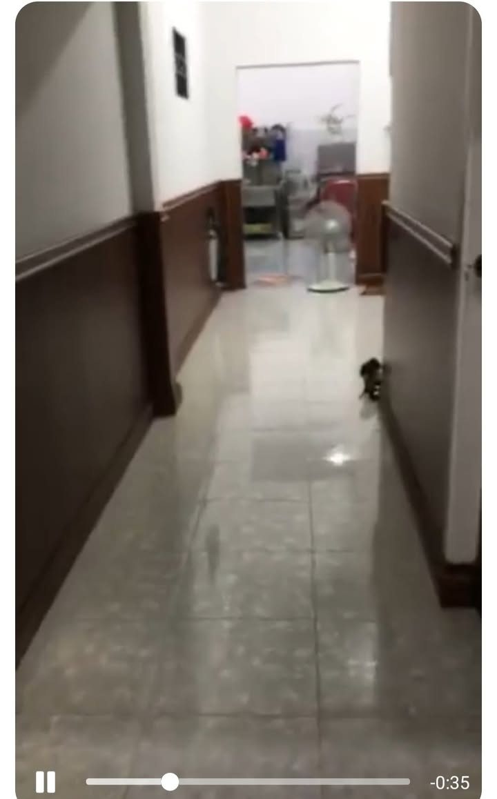 Đất Lộc An Bảo Lâm 4200m² giá 6 tỷ - Đầu tư sinh lời hấp dẫn!