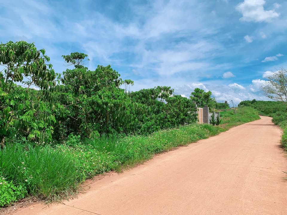 Đất nền Lộc Phát Bảo Lộc 570m² giá 1.15 tỷ - Mặt tiền bê tông đẹp