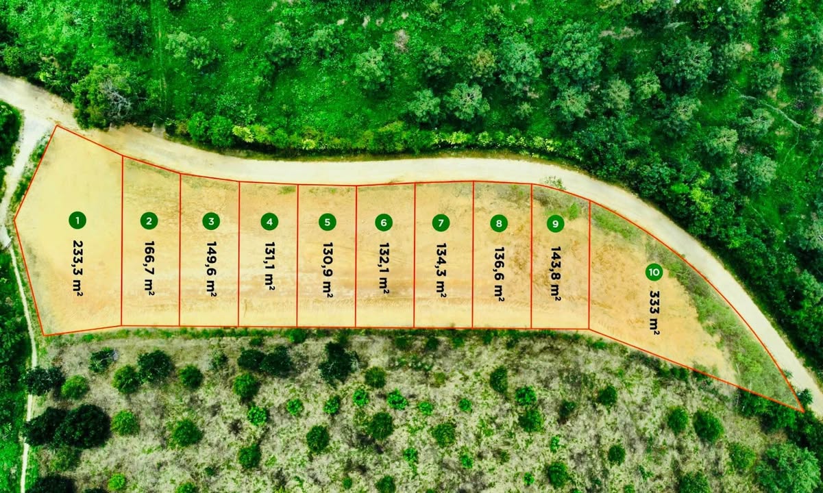 Đất nền Tân Lạc Bảo Lâm 130m² giá chỉ 400 triệu - Đầu tư sinh lời ngay!