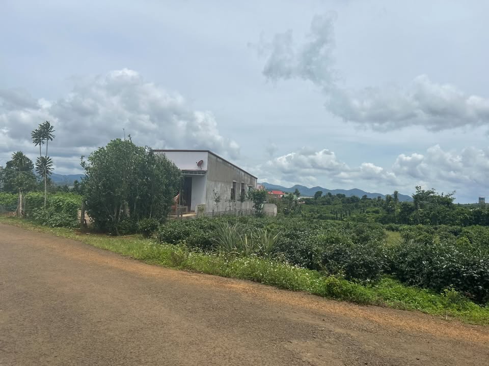 Đất nền Lộc Tân Bảo Lâm 1894m² giá chỉ 2.7 tỷ - Cơ hội đầu tư tuyệt vời!