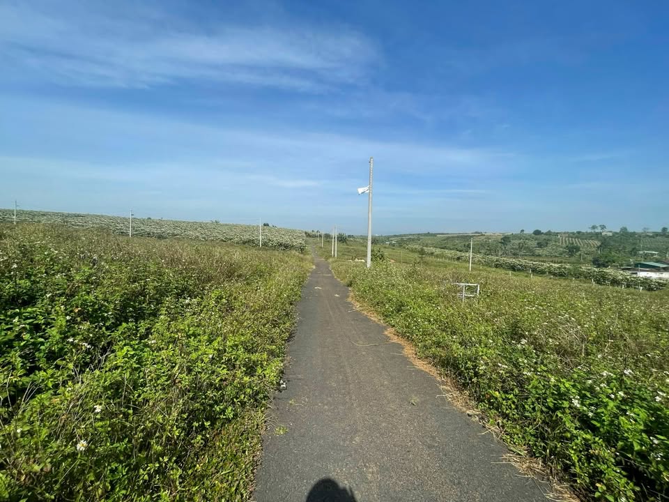 Bán đất nền Nguyễn Thái Bình, Lộc Phát 504m² giá 750 triệu - Đầu tư sinh lời ngay!