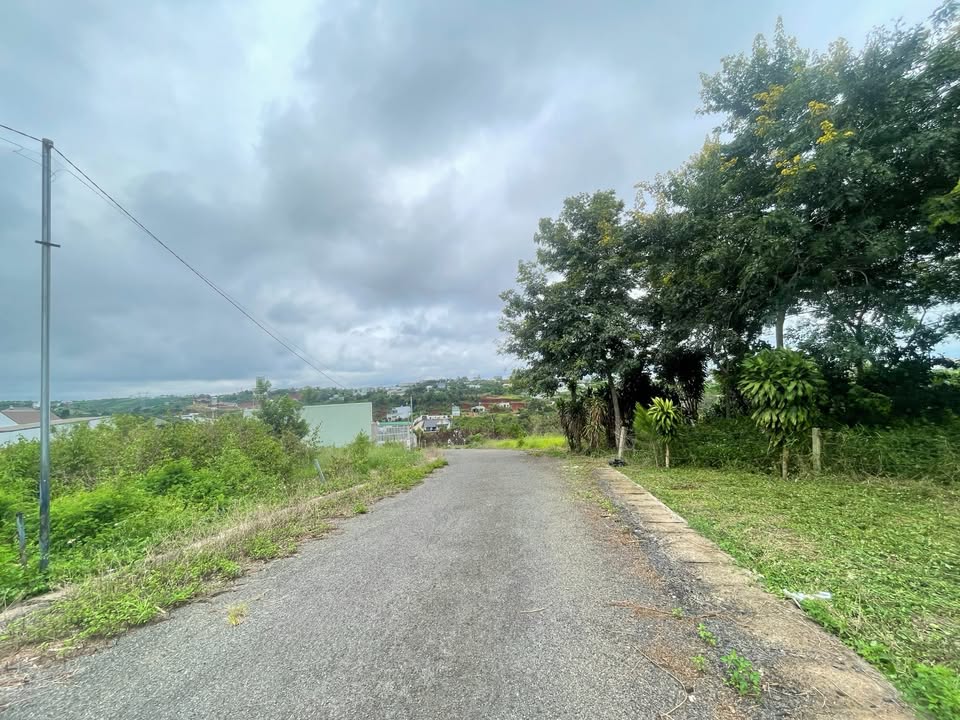 Bán đất Nguyễn Trãi, Bảo Lộc 143m² giá chỉ 1.2 tỷ - Khu vực yên tĩnh, view thoáng