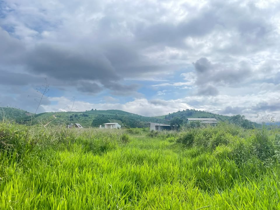 Bán đất Lộc Châu Bảo Lộc 733m² giá 1 tỷ - Đường ô tô vào tận nơi!