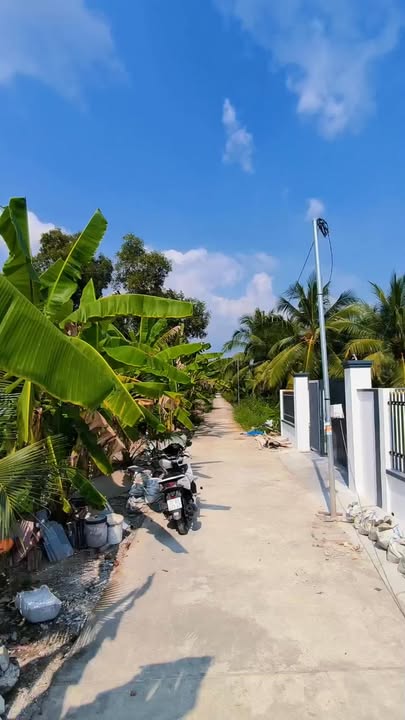 Biệt thự mini Tân Cổ Điển Phú Tân 300m² giá 2.39 tỷ - Xách vali vào ở ngay!