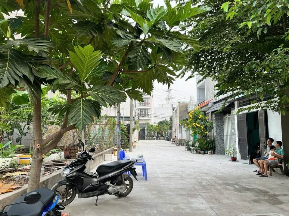 Đất thổ cư đường Thạnh Lộc 19, quận 12, 232.2m² chỉ 10 tỷ - Cơ hội đầu tư tuyệt vời!