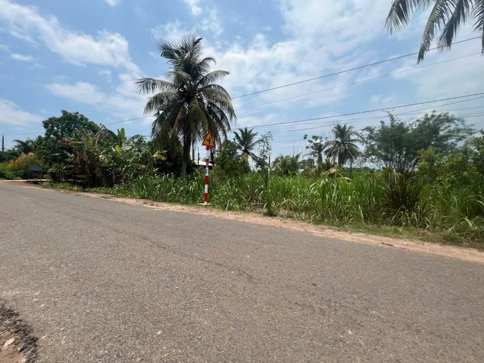 Đất thổ cư mặt tiền đường DH6 xã Phước Ninh 185m² giá 300 triệu - Đầu tư sinh lời cao!