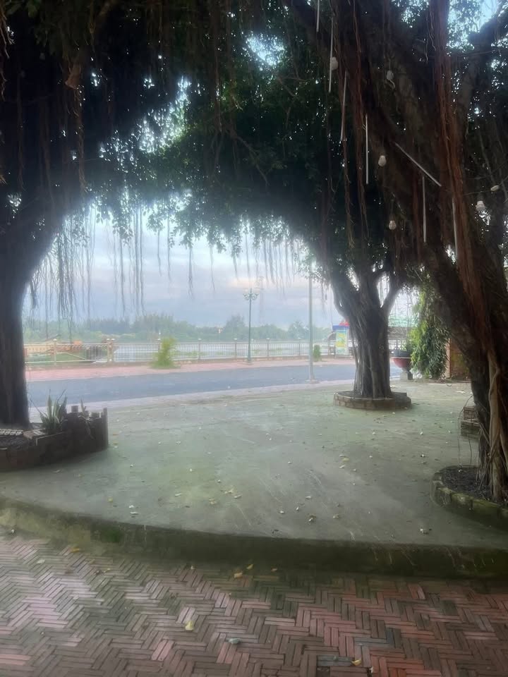 Mặt bằng cho thuê Bến Lức 1000m² giá 25 triệu - Vị trí đắc địa cho kinh doanh