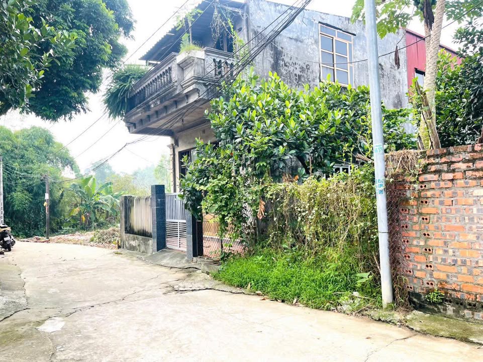 Đất thổ cư Dữu Lâu, Việt Trì 73m² giá 1.9 tỷ - Vị trí đắc địa gần trung tâm!