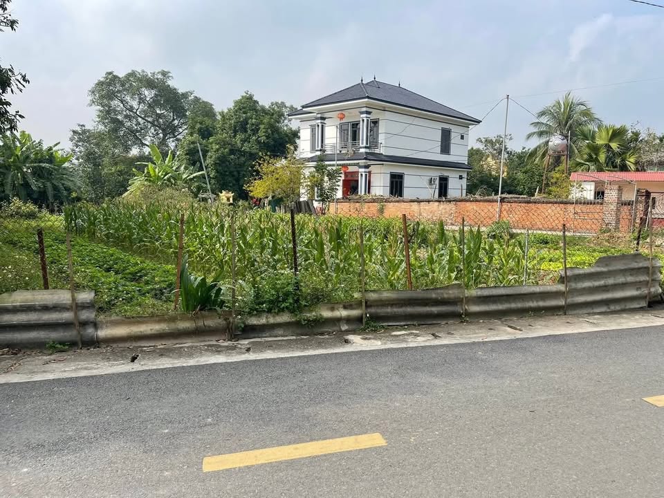 Đất liền kề 400m² tại Chu Hóa, Việt Trì - Giá chỉ từ 1.7 tỷ VND!