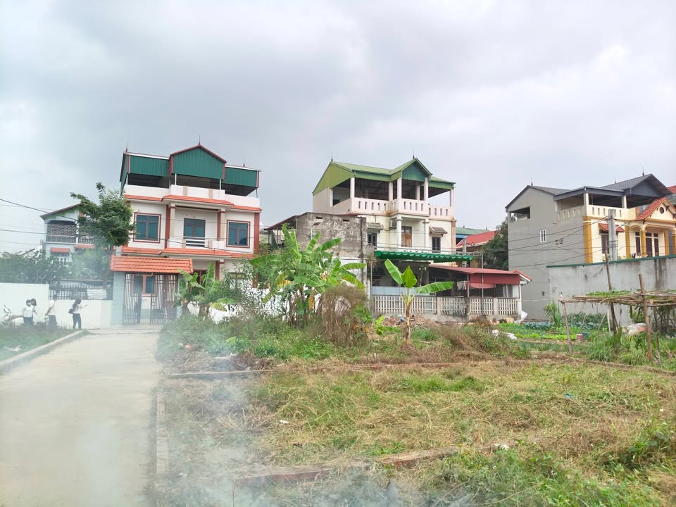 Đất Yên Vinh Thanh Lâm Mê Linh 55m² giá 3 tỷ - Đầu tư sinh lời hấp dẫn!