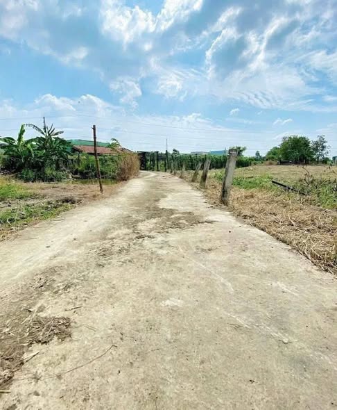 Đất thổ vườn Mỹ Lộc, Cần Giuộc 590m² giá 2.1 tỷ - Cơ hội đầu tư tuyệt vời!