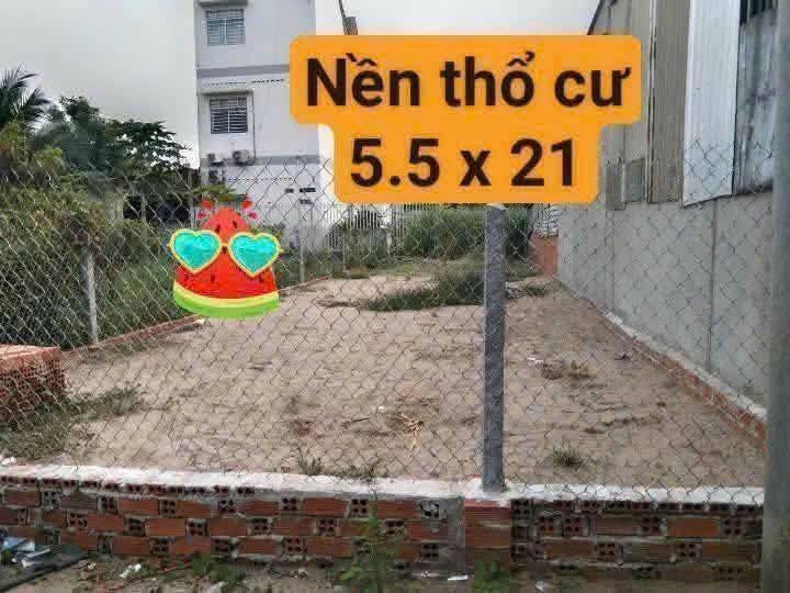 Đất nền thổ cư chính chủ tại phường Long Châu, Tân Châu, 116m² chỉ 790 triệu - Sổ hồng sang tên nhanh!