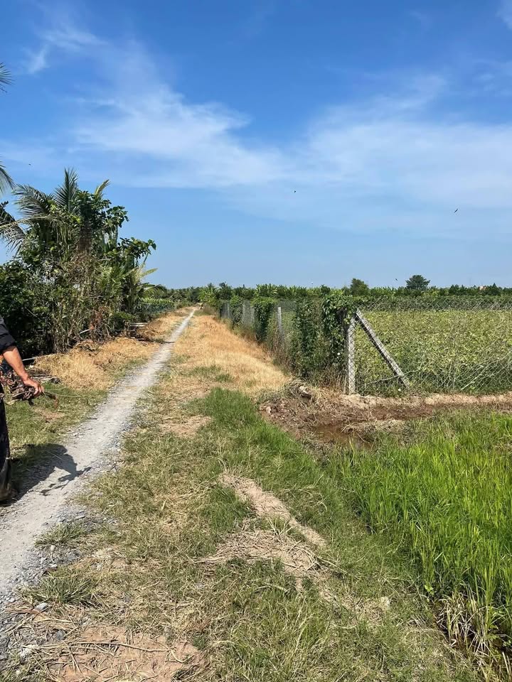 Đất nền Tân Châu 1.600m² giá thương lượng - Cơ hội đầu tư sinh lời cao!