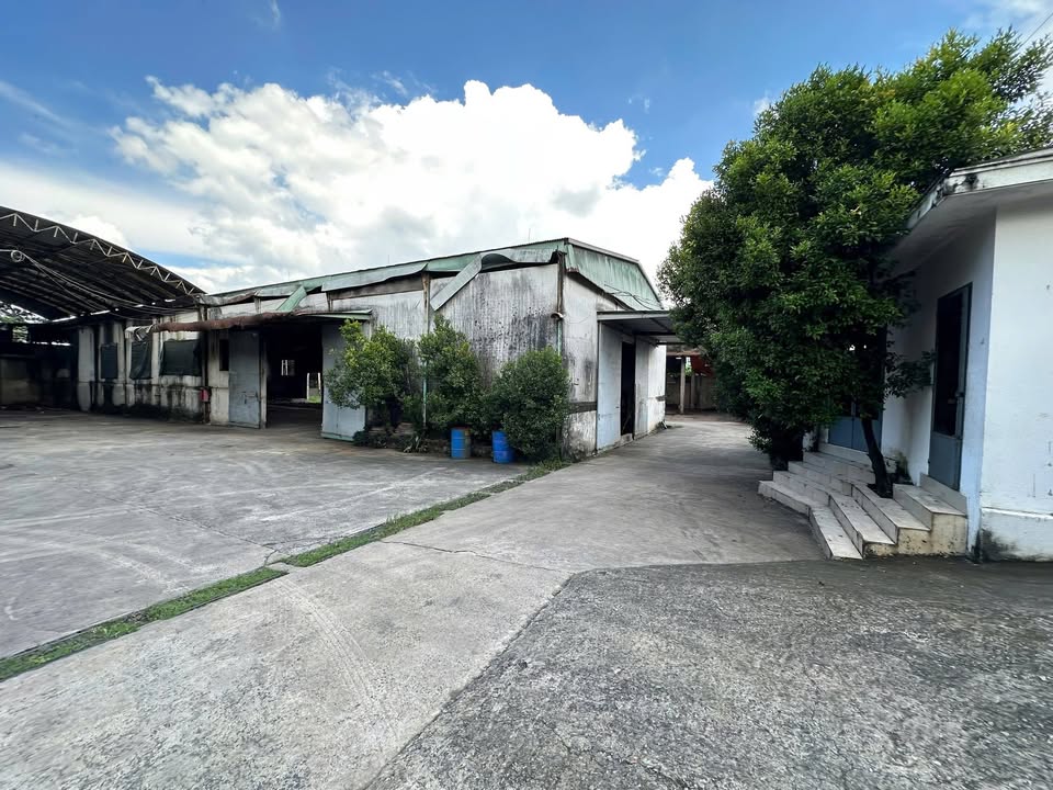 Cho thuê nhà xưởng 10.000m² tại Bình Minh, Trảng Bom - Giá 200 triệu/tháng