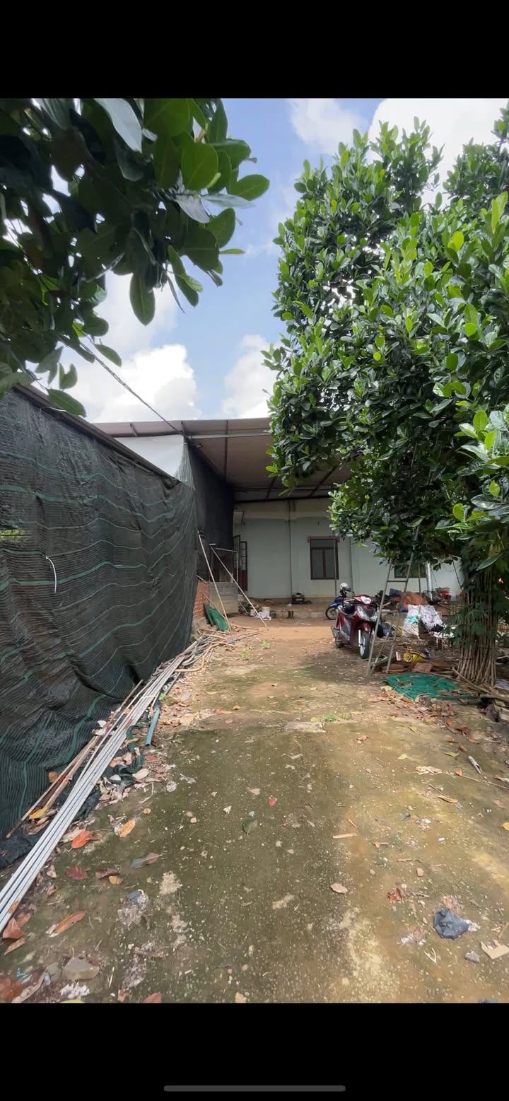 Đất vườn Hưng Thịnh Trảng Bom 13.250m² giá 7.5 tỷ - Cơ hội đầu tư tuyệt vời!