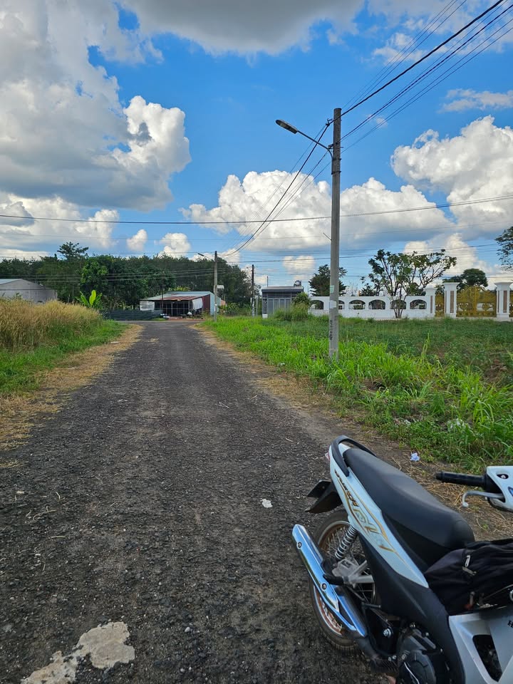 Đất thổ cư 800m² mặt tiền đường nhựa - Đầu tư sinh lời tại Đồng Xoài chỉ 1.7 tỷ!