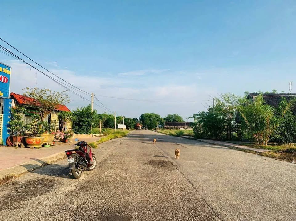 Đất nền Đảo Yến Chơn Thành 140m² giá chỉ 700 triệu - Nhanh tay sở hữu!