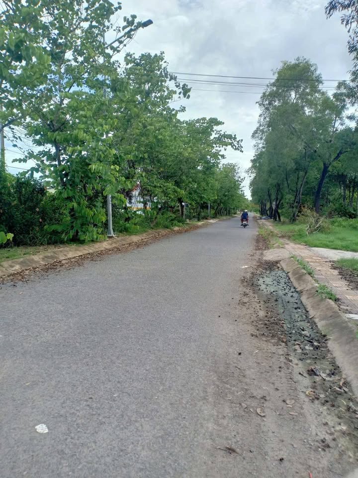 Đất nền Vườn Chim Bạc Liêu 1000m² giá 1.4 tỷ - Đầu tư sinh lời hấp dẫn!