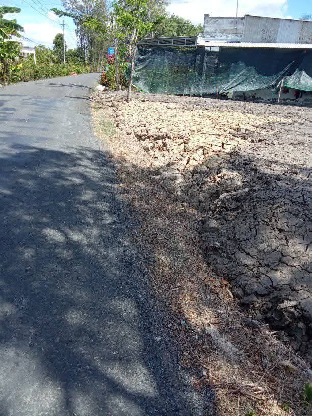 Đất nền mặt tiền xã Tân Phong, thị xã Giá Rai, 720m² - Cơ hội đầu tư hấp dẫn!