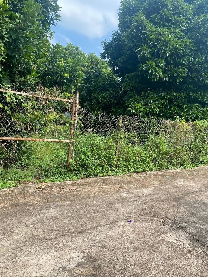 Đất sào Bình Lộc, Long Khánh 1052m² giá 2.3 tỷ - Sổ đỏ chính chủ, pháp lý rõ ràng!