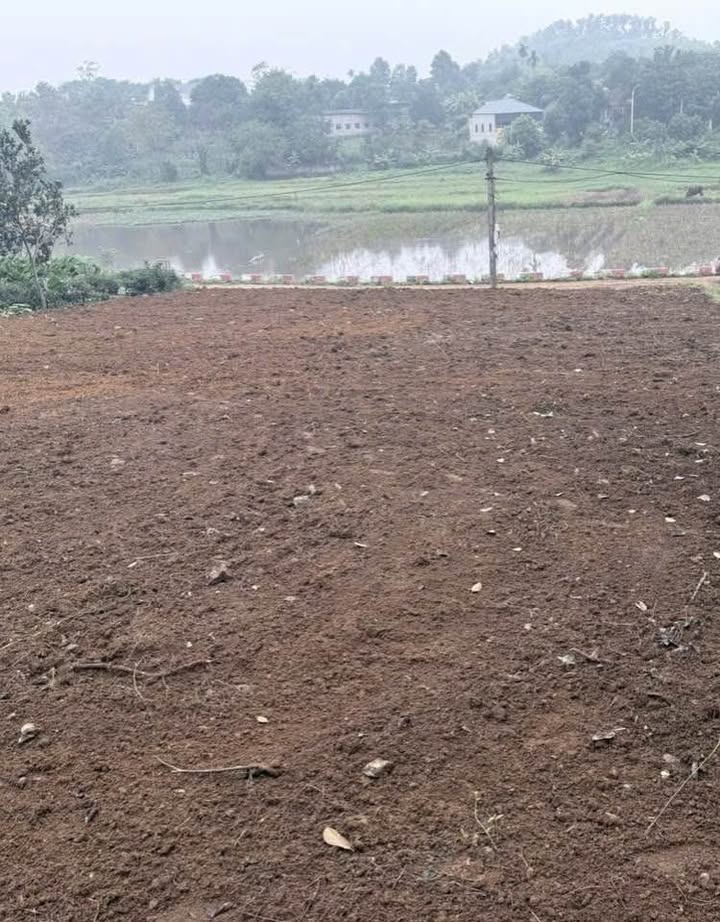 Đất nghỉ dưỡng Ba Trại, Ba Vì 600m² giá 3 tỷ - Sổ hồng chính chủ, vị trí đắc địa