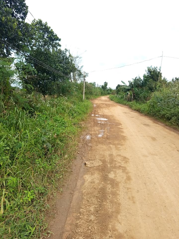 Đất nền 1,1 sào buôn Tơng Sinh, Ea Đar, Ea Kar giá 550 triệu - Sổ hồng đầy đủ!