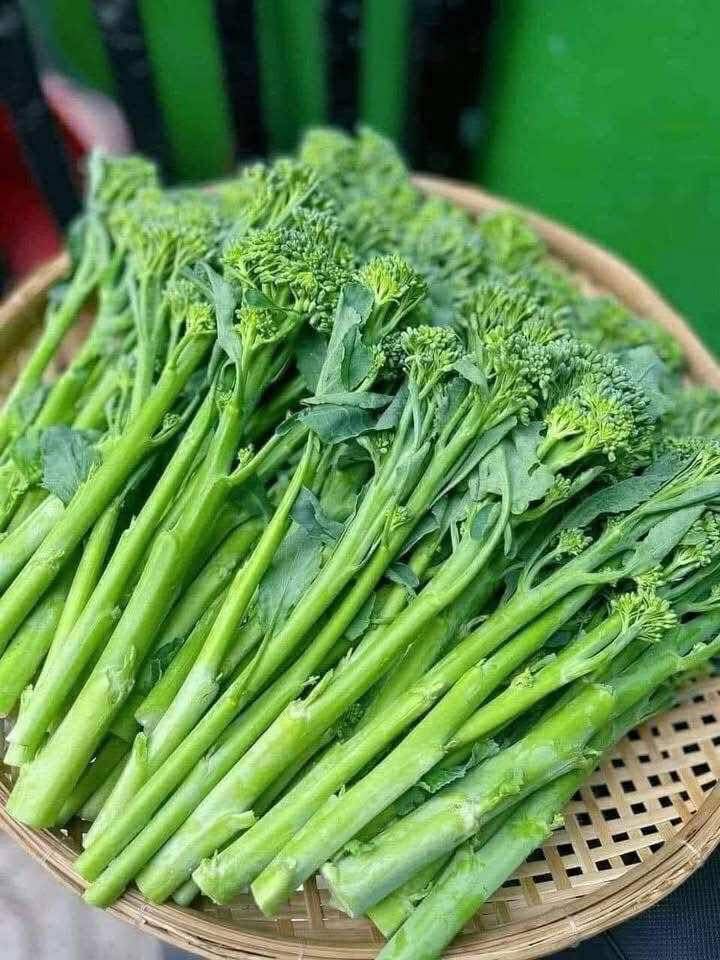 Đất Ea Kly Krông Pắc 7190m² giá 330 triệu - Cơ hội đầu tư tuyệt vời!