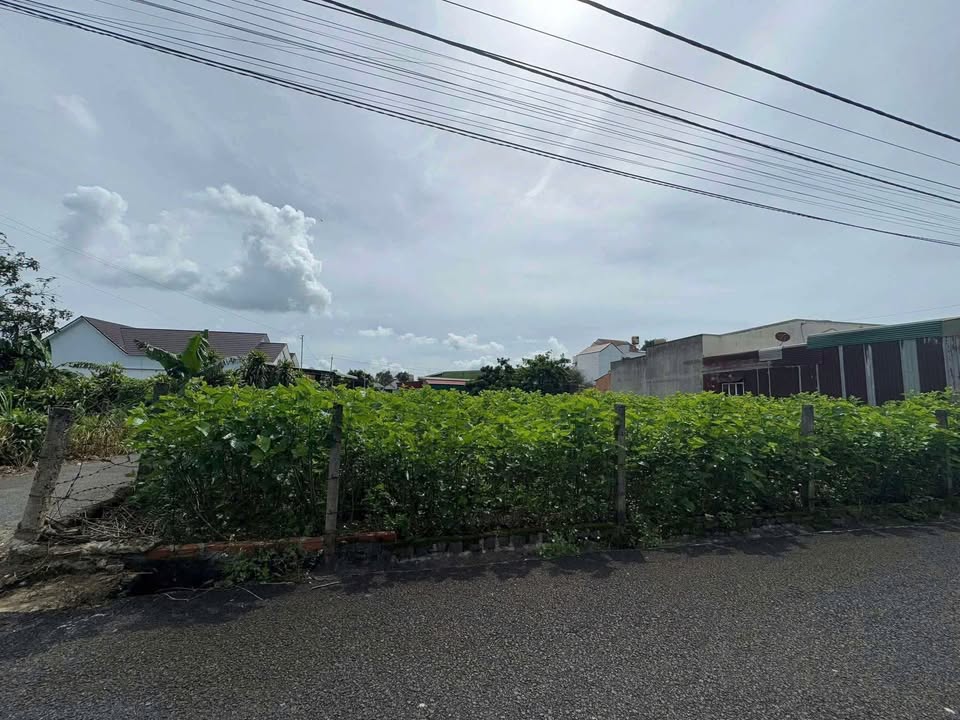 Đất nền hẻm 82 Nguyễn Tri Phương, Bảo Lộc 100m² giá 1.25 tỷ - Sổ đỏ chính chủ, khu dân cư sầm uất!