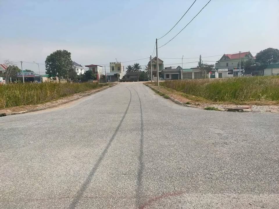 Đất nền Binh Hoa, Hậu Lộc, 192m² - Vị trí giao thông thuận lợi, giá thỏa thuận!