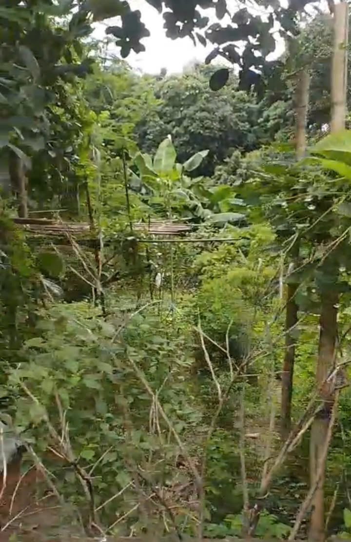 Đất nền Dược Thượng, Sóc Sơn 122m² giá 3.95 tỷ - Đầu tư sinh lời ngay!