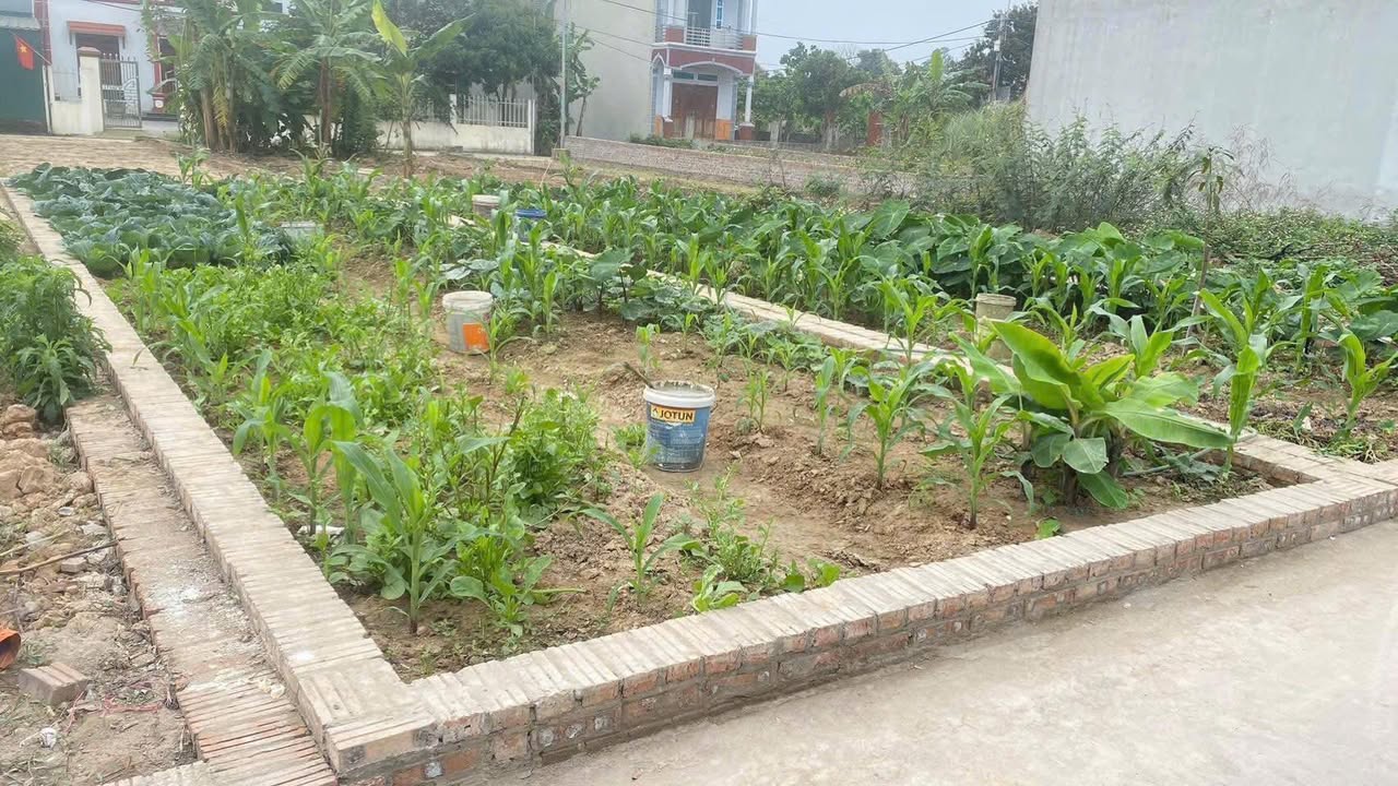 Đất bán tại Quang Minh, Mê Linh 4m² - Gần đường lớn, thuận tiện giao thông!